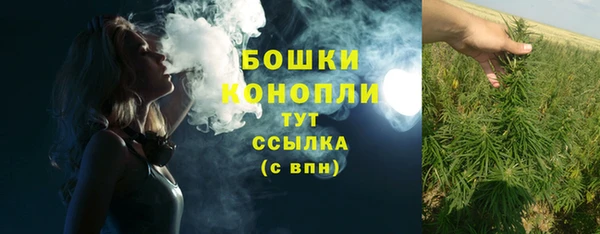 ПСИЛОЦИБИНОВЫЕ ГРИБЫ Покровск