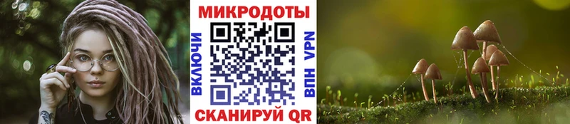 Псилоцибиновые грибы мухоморы  что такое   Абаза 