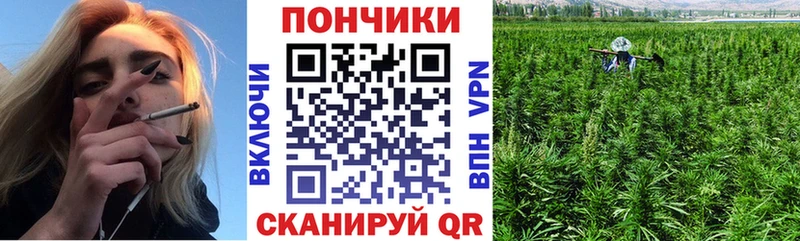 mega ССЫЛКА  Абаза  Шишки марихуана индика 